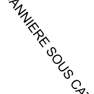 Feux d'artifice pour les pros