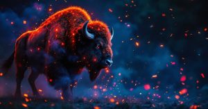 Pétard Bison en action avec explosions colorées rouge et orange sur fond noir nocturne
